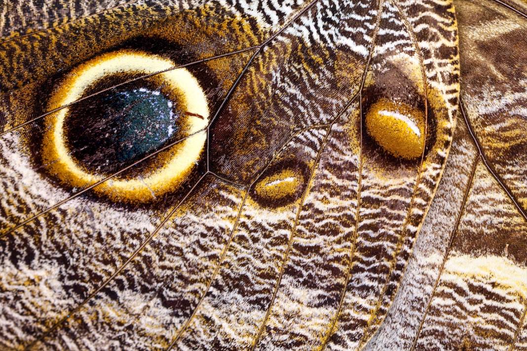 Konya’nın ünlü bahçesindeki detaylar tüyler ürpertti: İyi ki küçükler 20